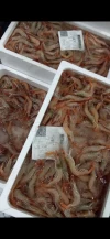 Gambas Blancas Lonja de Fuengirola (500gr)