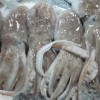 Pulpo Cabezón Fuengirola (500gr)