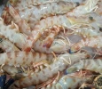 Langostino Tigre Sanlúcar (500gr)