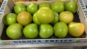 Manzana Gran Smith Lérida (1Kg)