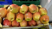 Manzanas Ambrosía Lleida (1Kg)