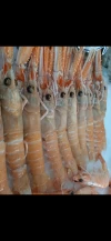 Cigalas de Huelva (1Kg)