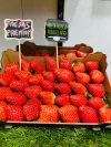 Fresas Premium de Huelva (1.2Kg)