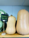 Calabazas Baby de Huelva (1Kg)