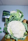 Coliflor Huerta de Huelva (1Kg)