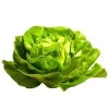 Lechuga de Casa Huerta Navarra (unidad)