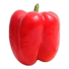 Pimiento Rojo Huerta Navarra (Unidad)