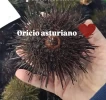 Oricio Asturiano (500gr)