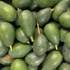 Mini Aguacate ECO Costa Tropical Málaga (500gr)